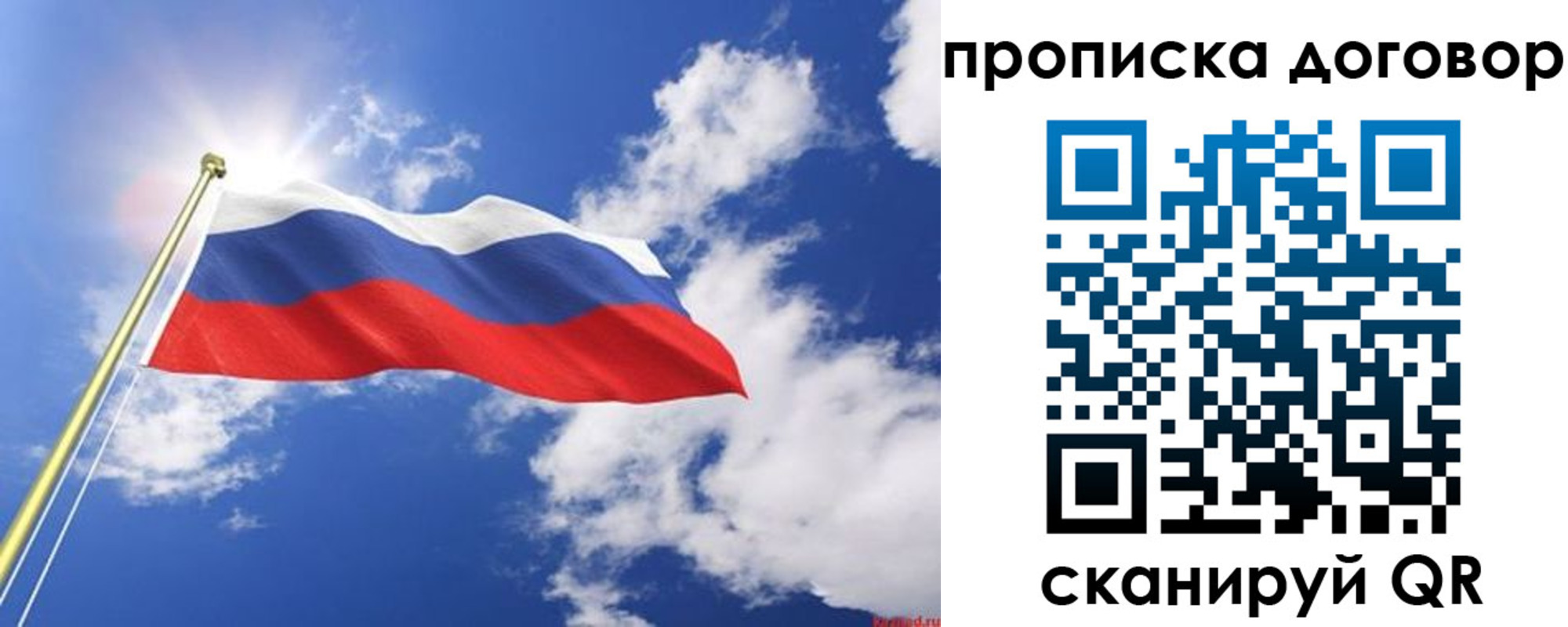прописка гарантия в Московской области